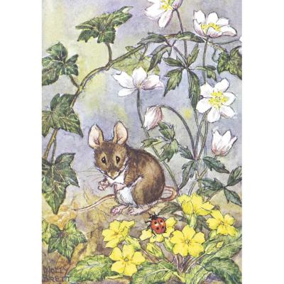 Molly Brett - What Lovely Spots! - Postcard